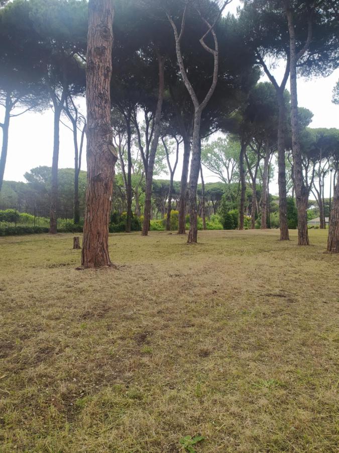 Attico Con Terrazza In Via Dei Traghetti Lido di Ostia Exterior foto